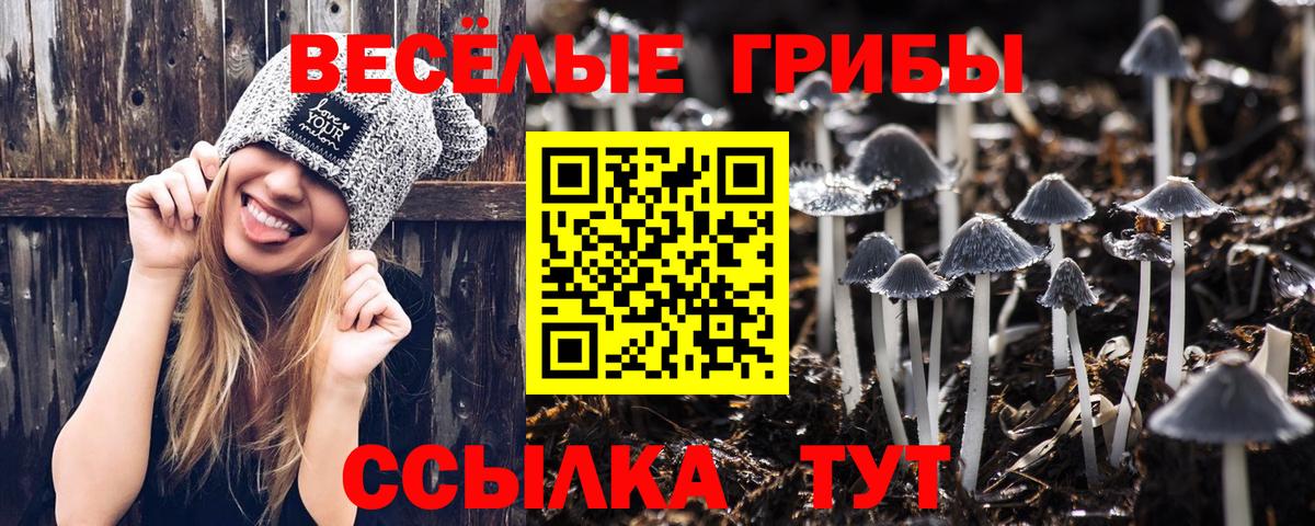 где продают наркотики  Галлюциногенные грибы Magic Shrooms  Вход с VPN  Псилоцибиновые грибы Psilocybine cubensis  Ярцево 